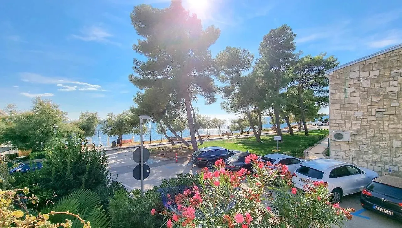 Fiore One Novigrad Istria Croacia